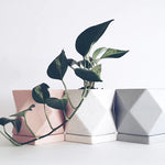 Geometric Ceramic Planter