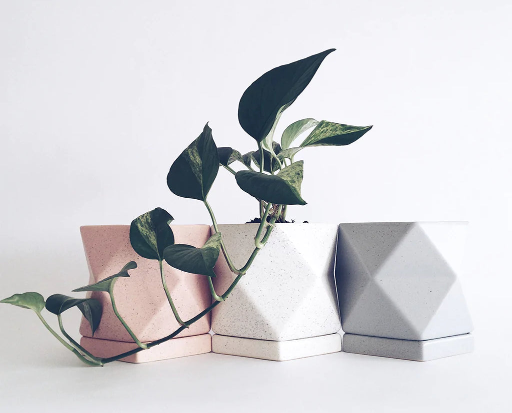 Geometric Ceramic Planter