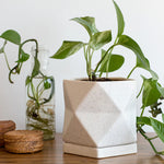 artisan Geometric Ceramic Planter