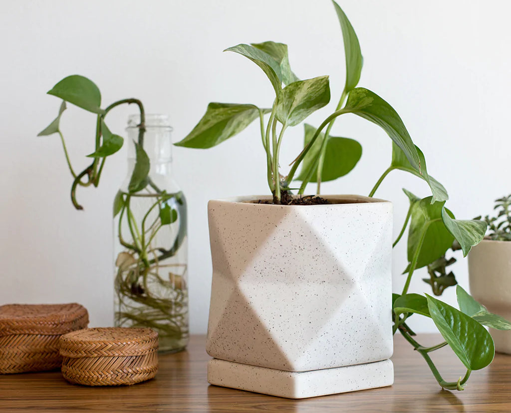 artisan Geometric Ceramic Planter