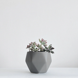 Small Ceramic Planter